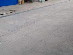 -石家庄市植物园