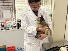 -北京赛佳动物医院