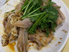 白切鸭-电白鸭粥店(下沙二坊88号店)