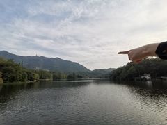 -深圳仙湖植物园