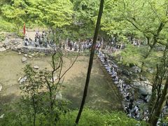 -石台牯牛降景区