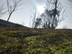 -洪湖悦兮半岛国际温泉度假村