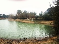 -艾溪湖湿地公园