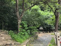 -北京鹫峰国家森林公园