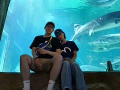 -华夏文旅海洋公园