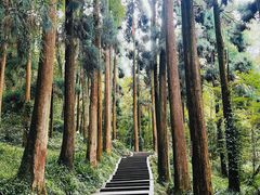 -青城山
