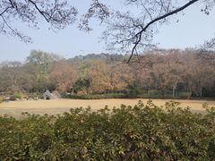 -东湖磨山景区