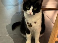 -原田新料理(1912店)