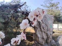 -中国人民抗日战争纪念雕塑园