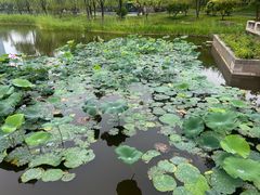 -西海子公园