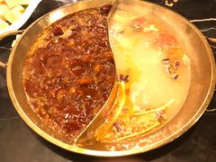 -杨家火锅(国美店)