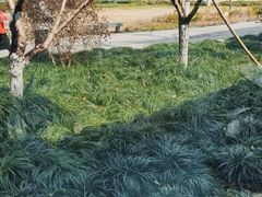 -柳莺湖上·湖景餐厅·江南菜(西湖店)