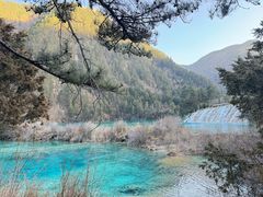 -九寨沟-树正沟