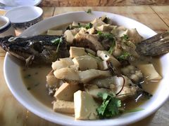 -煲来饱去冷水鱼