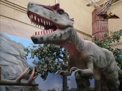 -国家自然博物馆