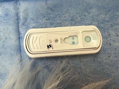 -美联众合动物医院·24h京西诊疗中心