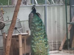 -厦门园林博览苑