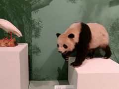 -河北博物院