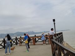 -野狸岛