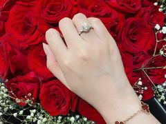 -Harry Winston 海瑞温斯顿