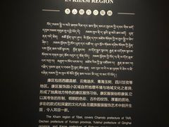 -青海藏文化博物院