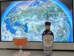 -米兰-马尔彭萨机场