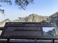 -少华山国家森林公园