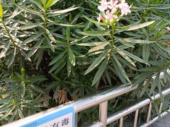 -广东中医药博物馆