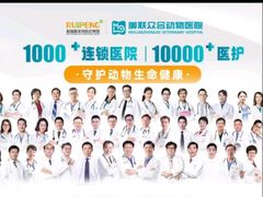 -美联众合动物医院·24h转诊中心