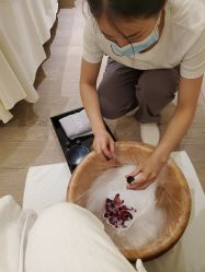 -奥斯芬欧系贵族SPA