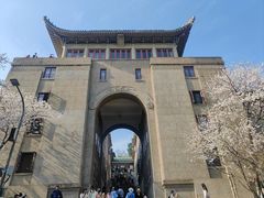 -武汉大学-樱园