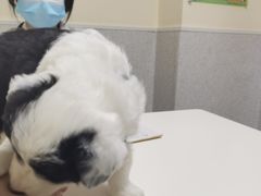 -谐和贝康宠物医院24小时·宠保定点(急重症转诊中心)