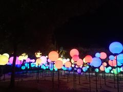 -锦江乐园舞狸花花游园会(夜场专享)