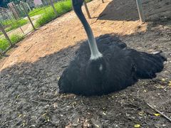 -意大利农场度假村