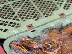 -坛南湾阿强农家乐.海鲜大排档老字号(福州地标美食店)