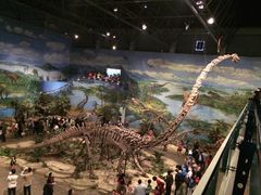 iphone_upload_pic-自贡恐龙博物馆