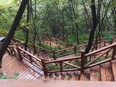 -大岭沟猕猴桃谷风景区