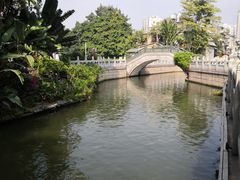 -荔湾湖公园