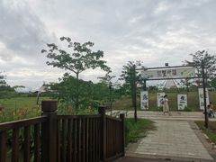 -大湾区中央湿地公园
