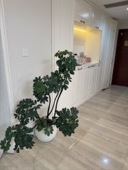 -PINK STAR美甲美睫