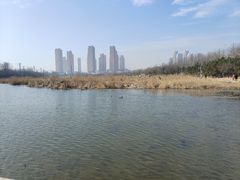 -前关湿地公园
