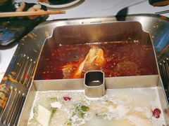 -九鼎轩脆毛肚火锅(南京东路店)