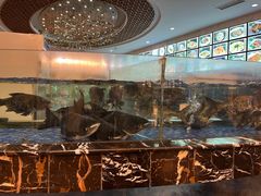 水产区-顺德人家食府(黄金广场店)