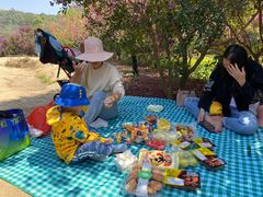 -南国桃园旅游度假区