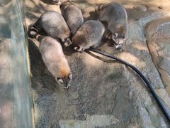 -杭州野生动物世界