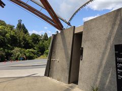 -怀托摩萤火虫洞