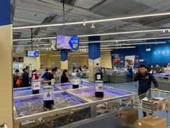 -盒马X会员店(上海森兰商都店)