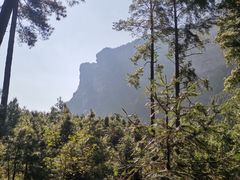-重庆睡佛山森林公园