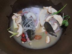 鲜活黑鱼-咕嘟草帽鱼·牛奶一样的鲜鱼汤(包河万达广场创始店)