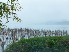 -湖畔居茶楼(湖滨店)